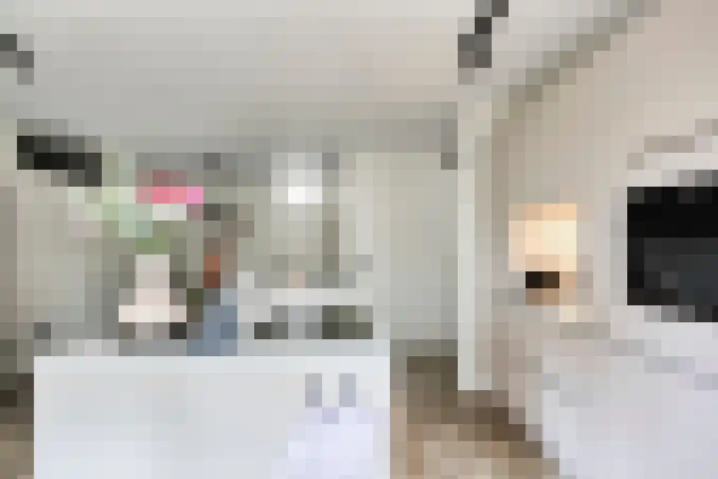 Venuslaan 231 Eindhoven thumbnail 27