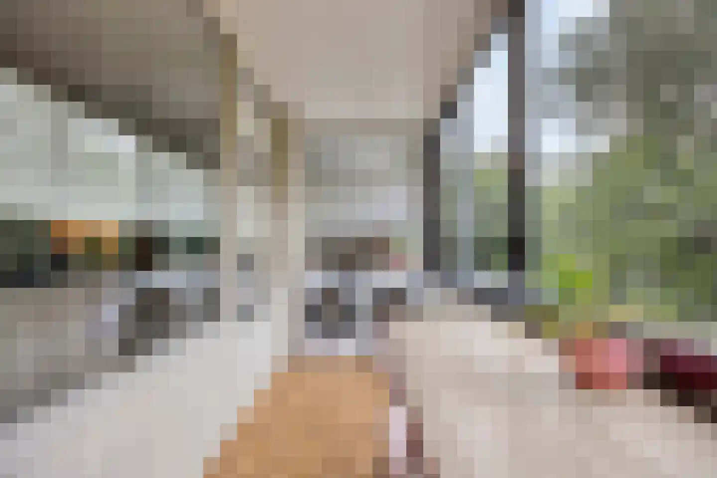 Venuslaan 231 Eindhoven thumbnail 34