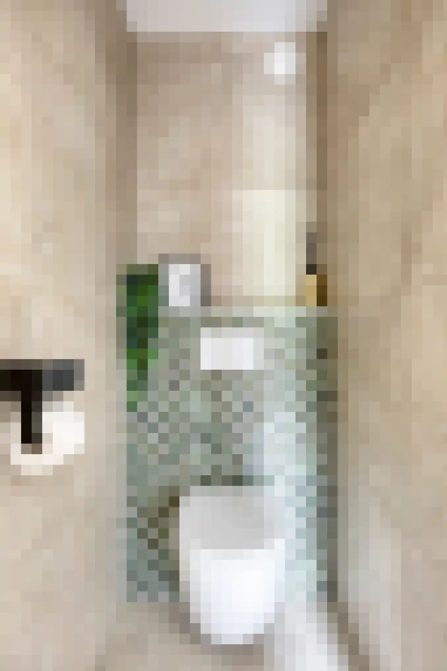 Venuslaan 231 Eindhoven thumbnail 37