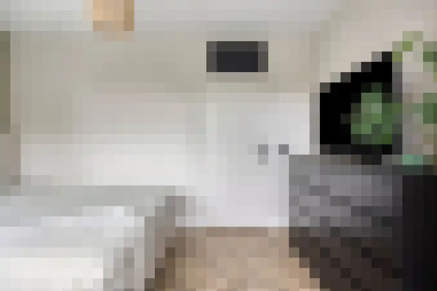Venuslaan 231 Eindhoven thumbnail 39