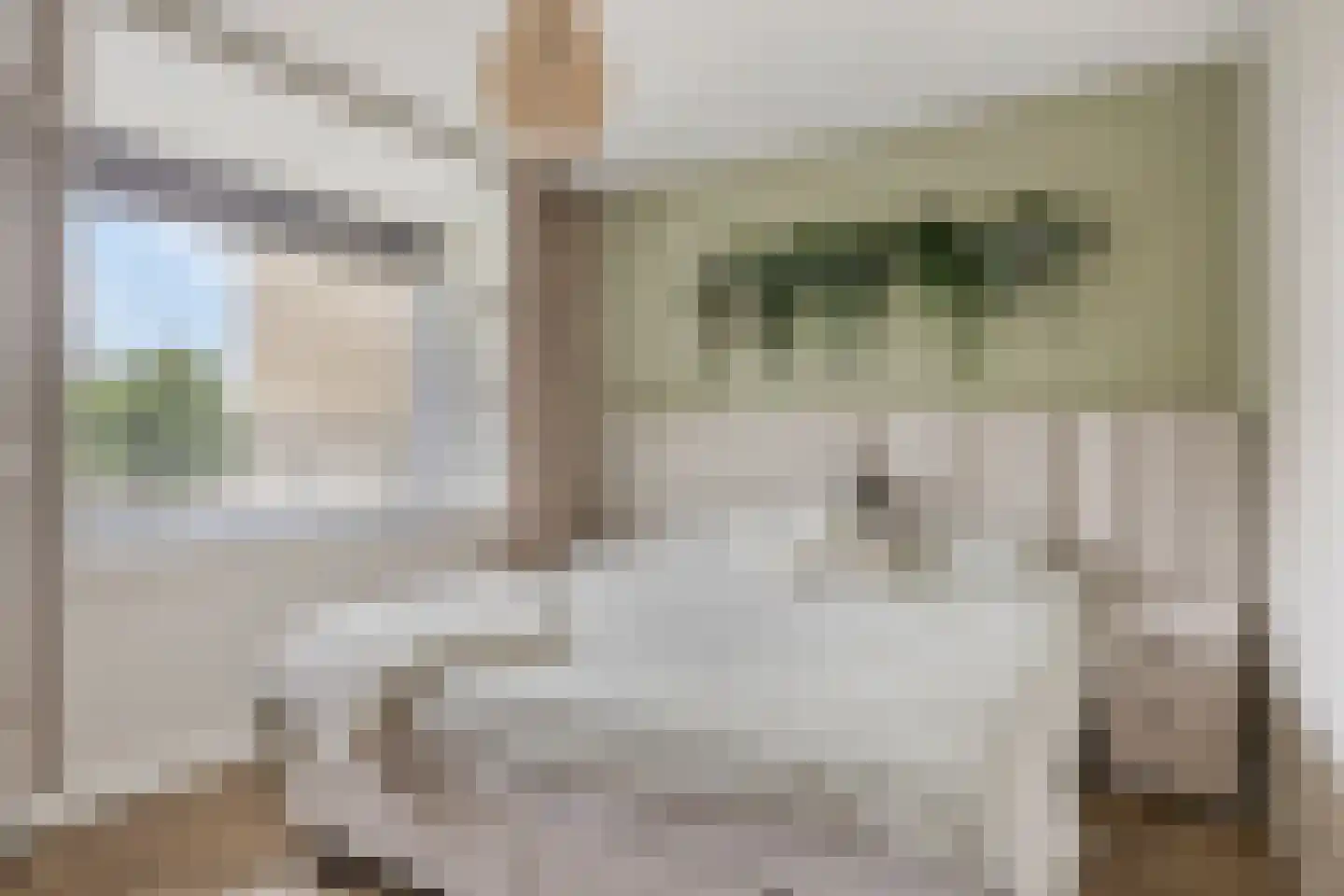 Venuslaan 231 Eindhoven thumbnail 4