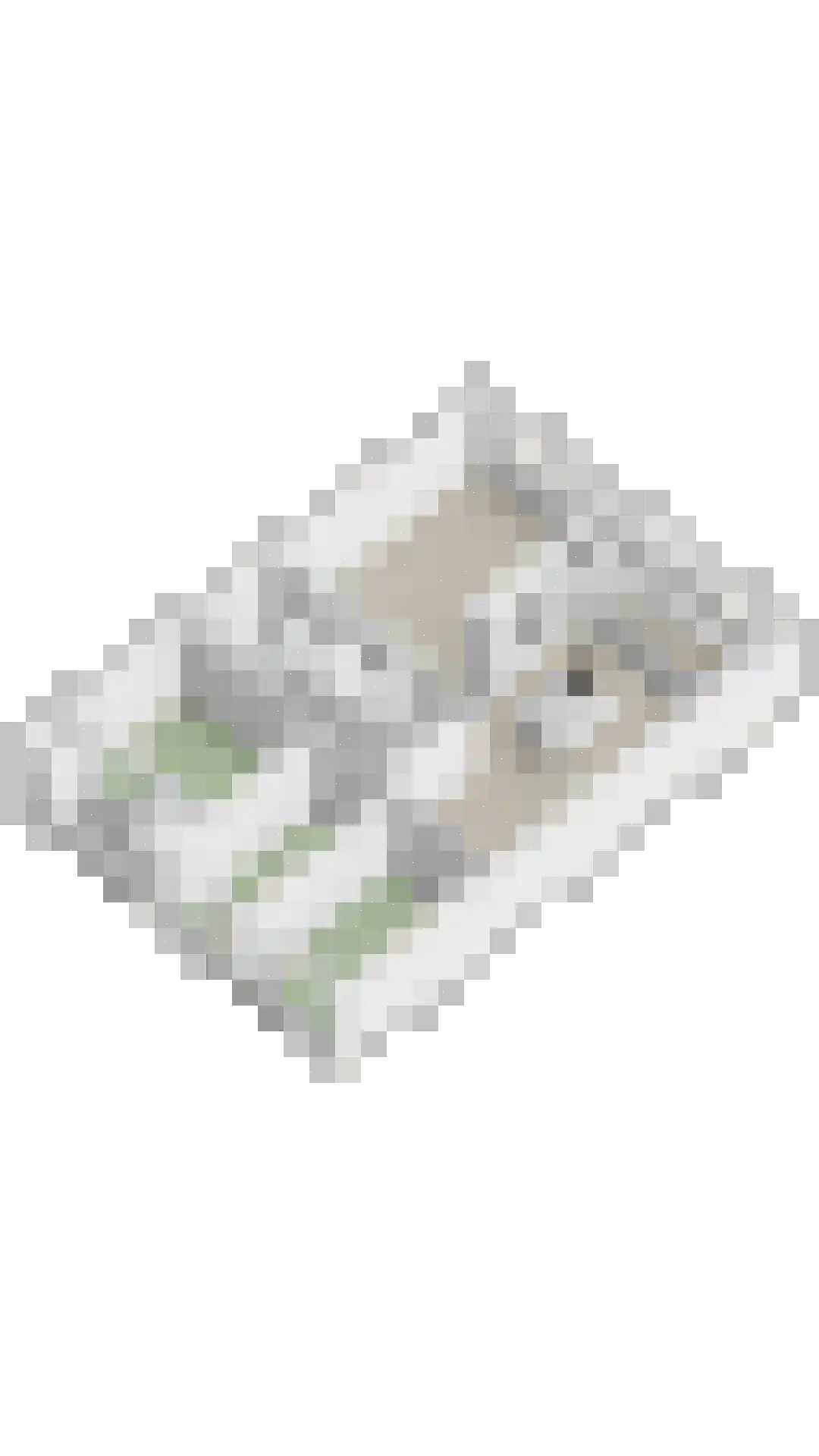 Venuslaan 231 Eindhoven thumbnail 55