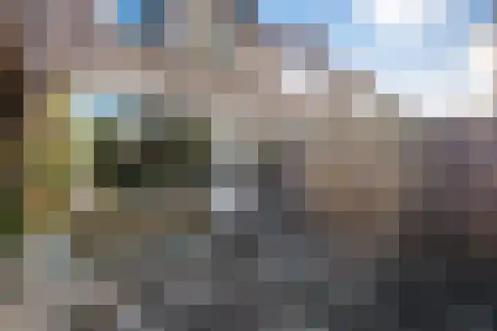 Venuslaan 27 Hardenberg thumbnail 40