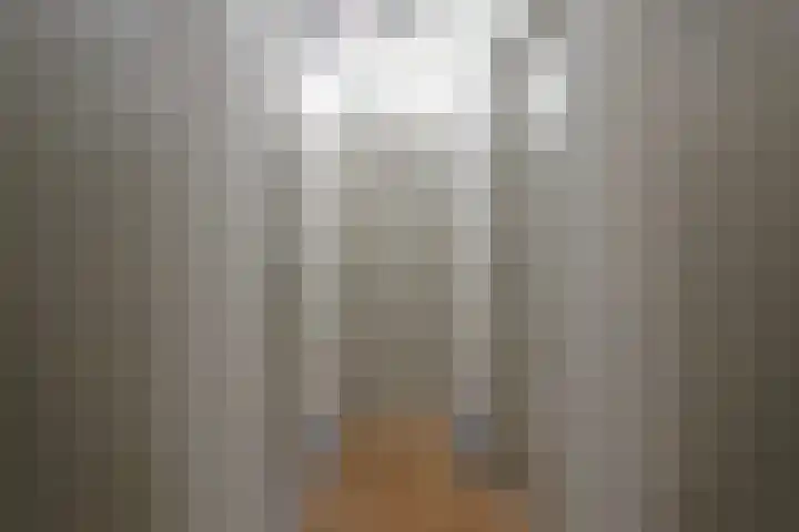 Venuslaan 283 Eindhoven thumbnail 15