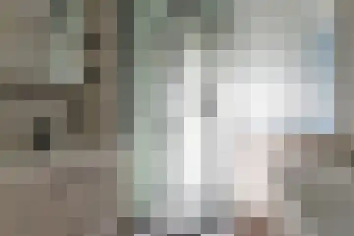 Venuslaan 283 Eindhoven thumbnail 18