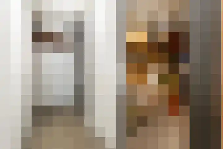 Venuslaan 283 Eindhoven thumbnail 22