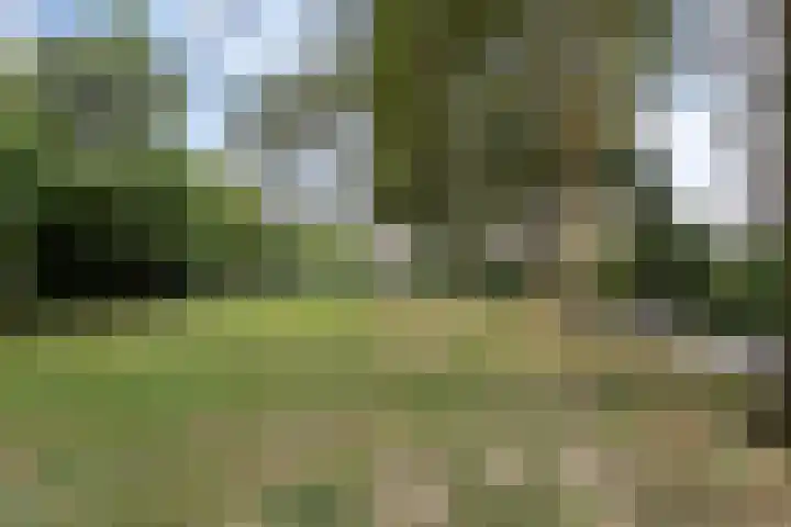 Venuslaan 283 Eindhoven thumbnail 23