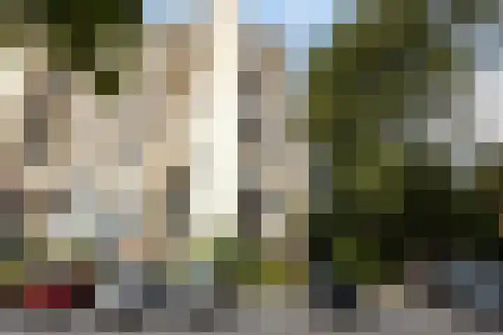 Venuslaan 283 Eindhoven thumbnail 25