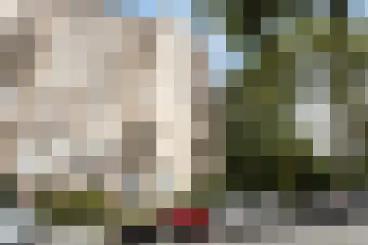 Venuslaan 283 Eindhoven thumbnail 26