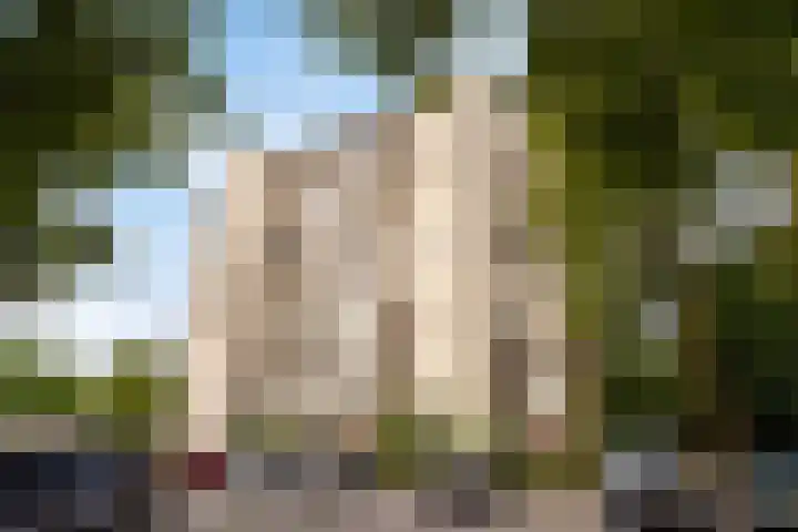 Venuslaan 283 Eindhoven thumbnail 29
