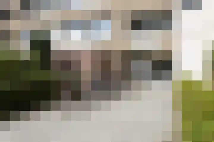 Venuslaan 283 Eindhoven thumbnail 5