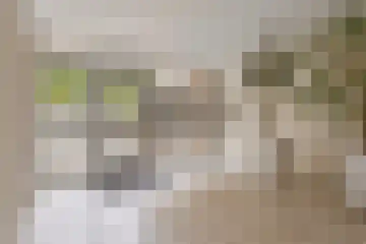 Venuslaan 283 Eindhoven thumbnail 6