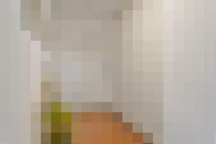 Venuslaan 283 Eindhoven thumbnail 8