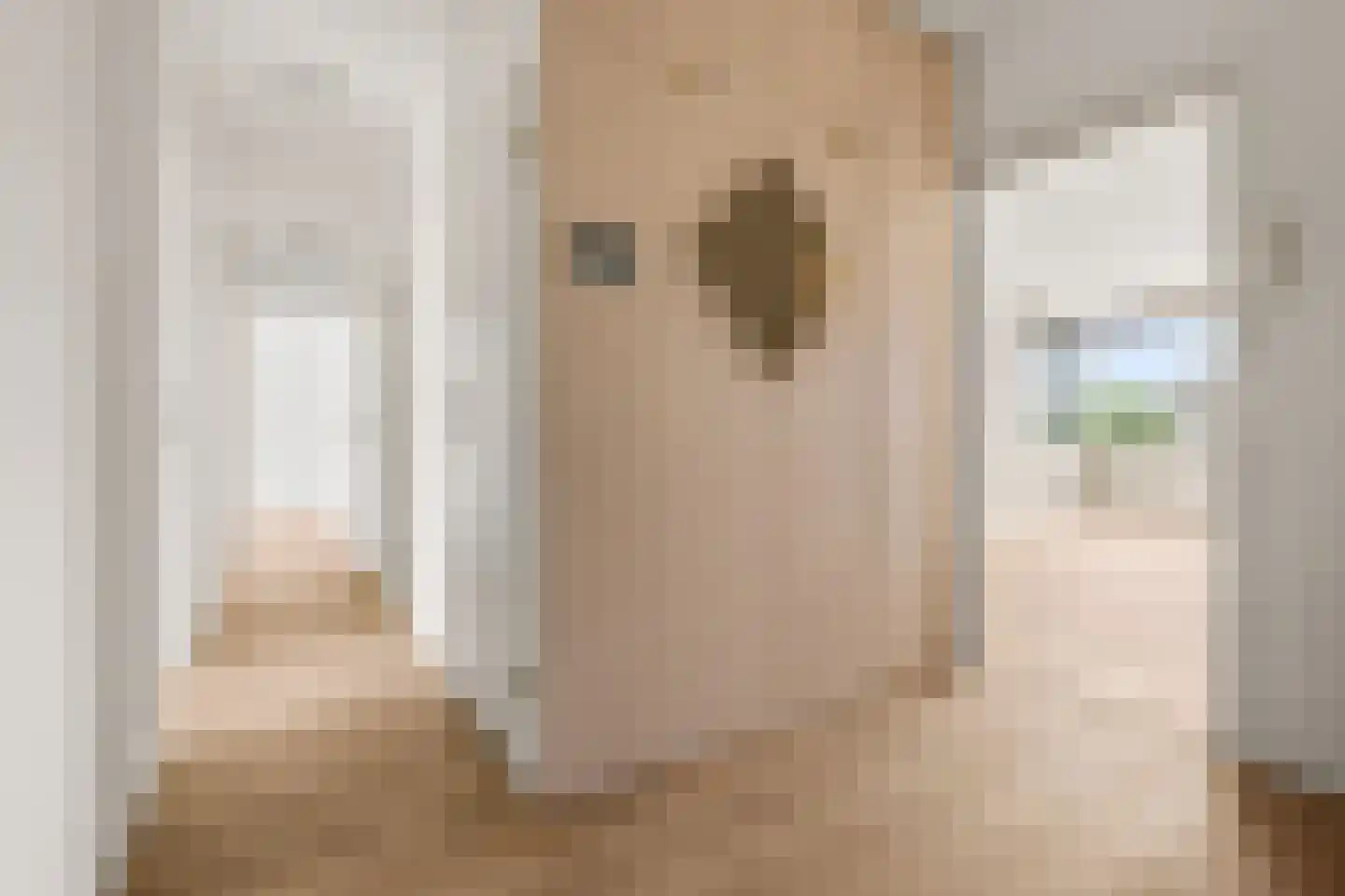 Venuslaan 285 Eindhoven thumbnail 10