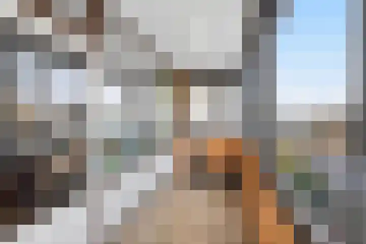 Venuslaan 285 Eindhoven thumbnail 18