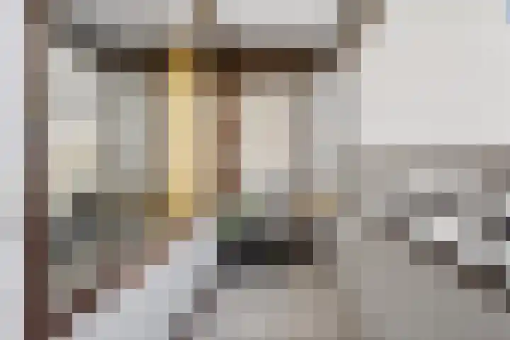 Venuslaan 285 Eindhoven thumbnail 31