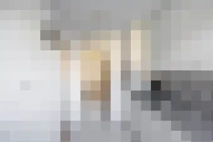 Venuslaan 29 Groningen thumbnail 10