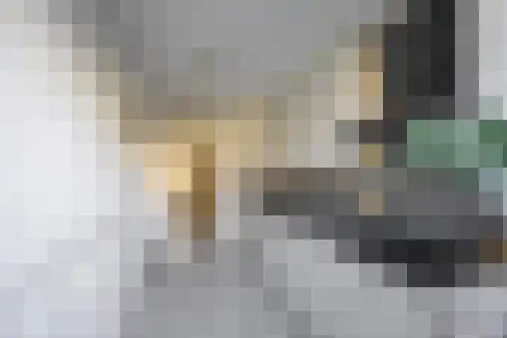 Venuslaan 29 Groningen thumbnail 13