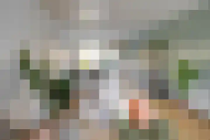 Venuslaan 29 Groningen thumbnail 15