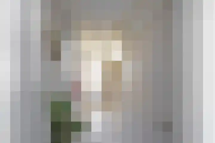 Venuslaan 29 Groningen thumbnail 24