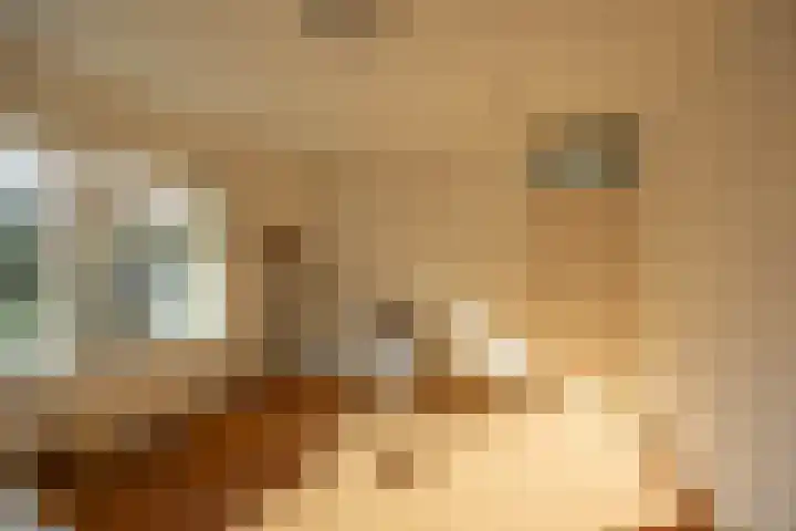 Venuslaan 29 Groningen thumbnail 33