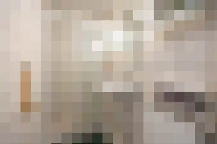 Venuslaan 29 Groningen thumbnail 36