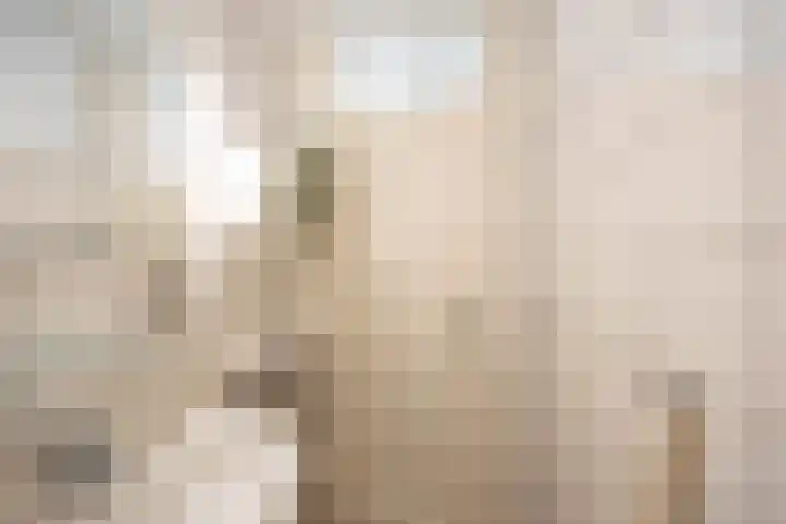 Venuslaan 29 Groningen thumbnail 37