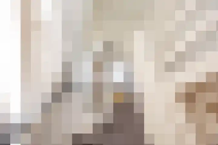 Venuslaan 29 Groningen thumbnail 38