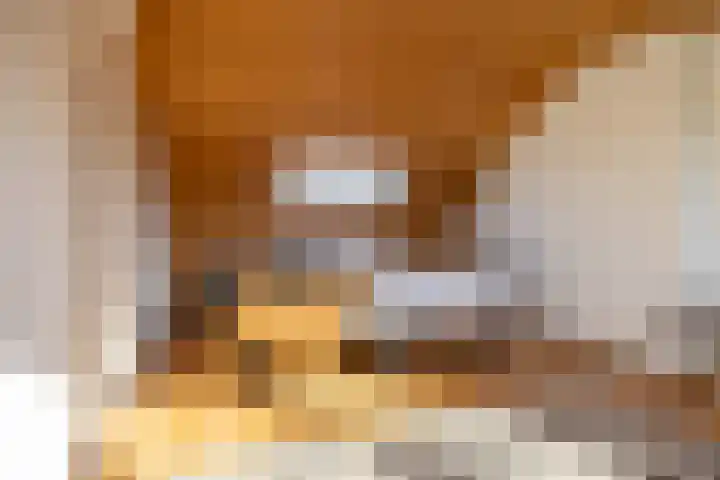 Venuslaan 29 Groningen thumbnail 43