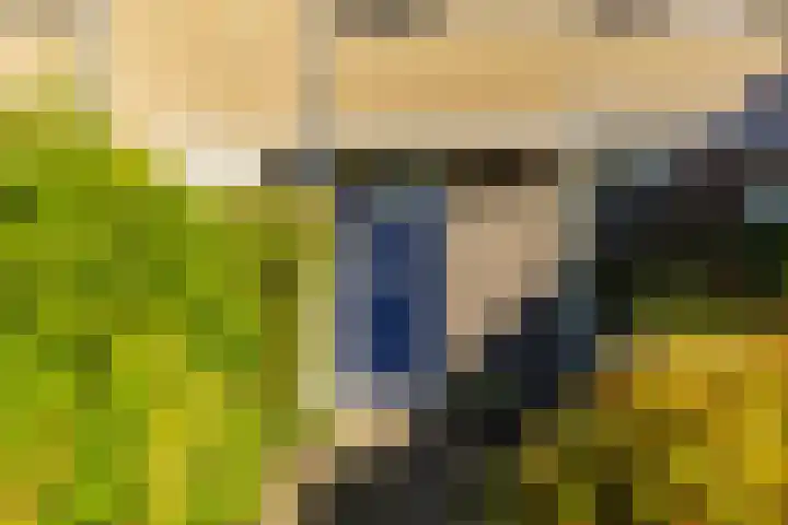 Venuslaan 29 Groningen thumbnail 5