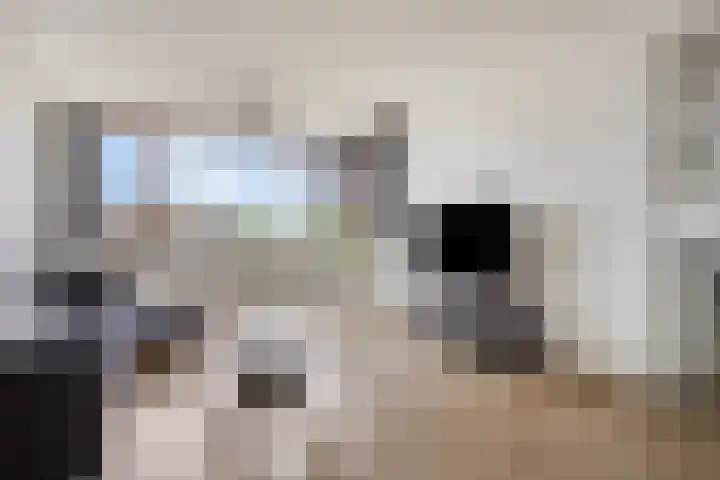 Venuslaan 291 Eindhoven thumbnail 10