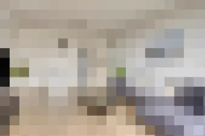 Venuslaan 291 Eindhoven thumbnail 12