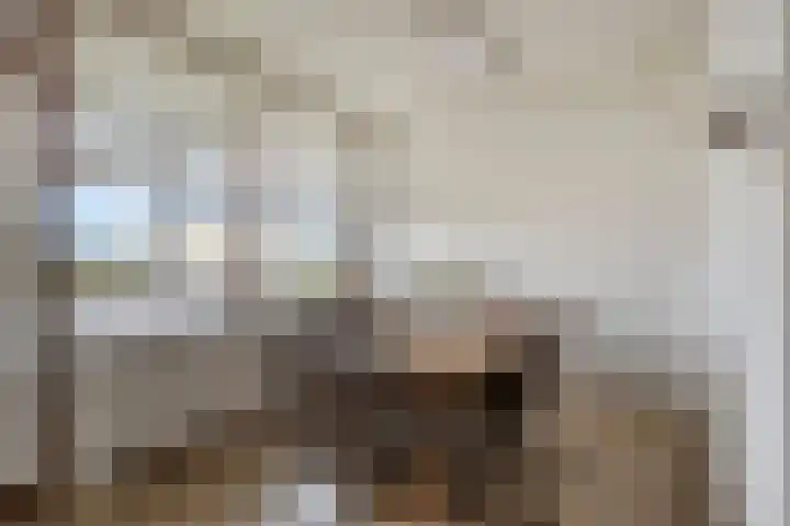 Venuslaan 291 Eindhoven thumbnail 14