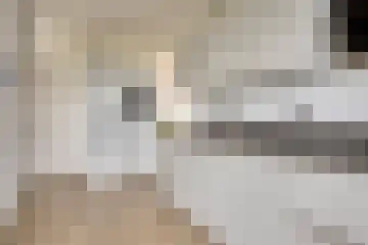 Venuslaan 291 Eindhoven thumbnail 16