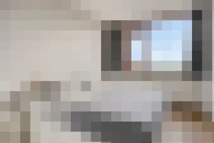 Venuslaan 291 Eindhoven thumbnail 19