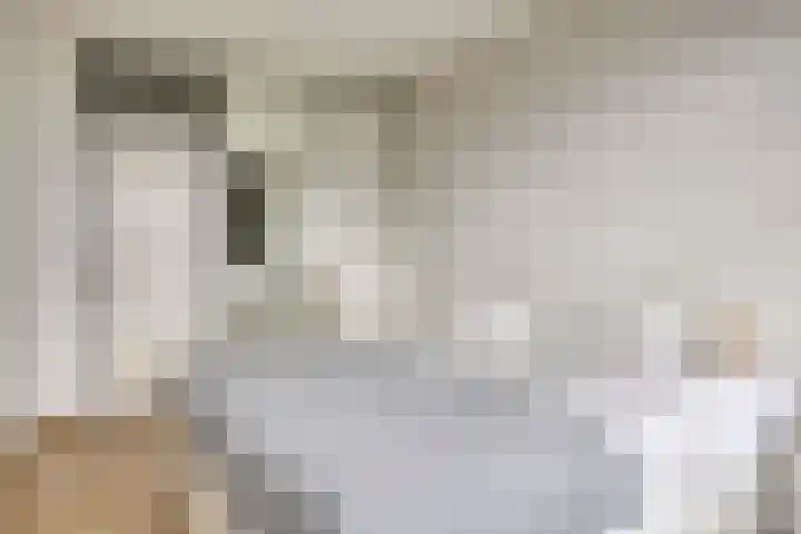 Venuslaan 291 Eindhoven thumbnail 20