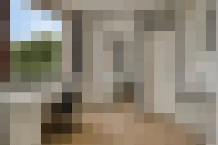 Venuslaan 291 Eindhoven thumbnail 25