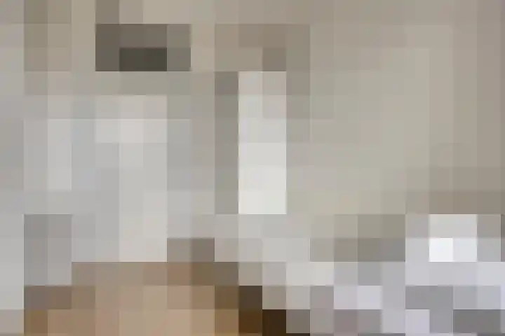 Venuslaan 291 Eindhoven thumbnail 27