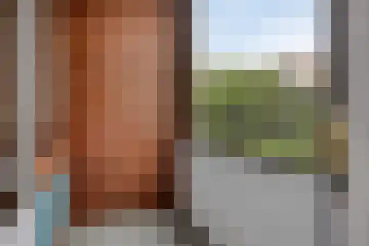 Venuslaan 291 Eindhoven thumbnail 28