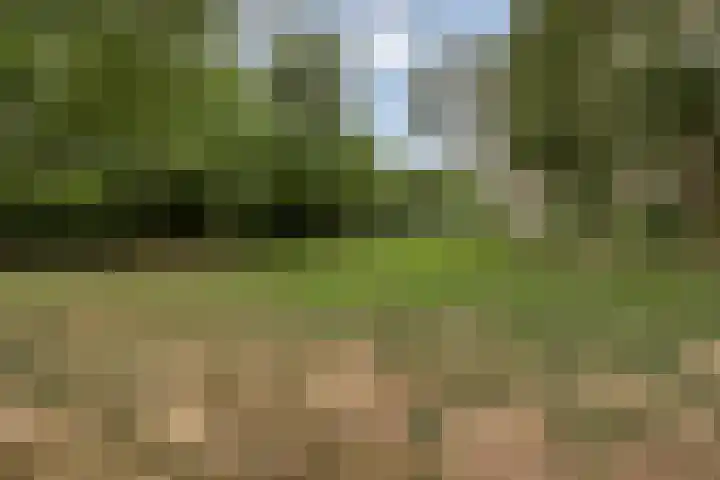 Venuslaan 291 Eindhoven thumbnail 31