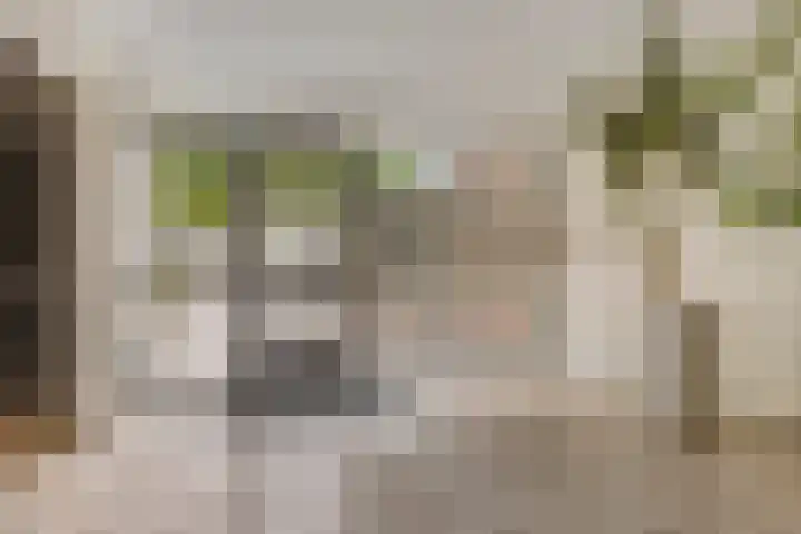 Venuslaan 291 Eindhoven thumbnail 4