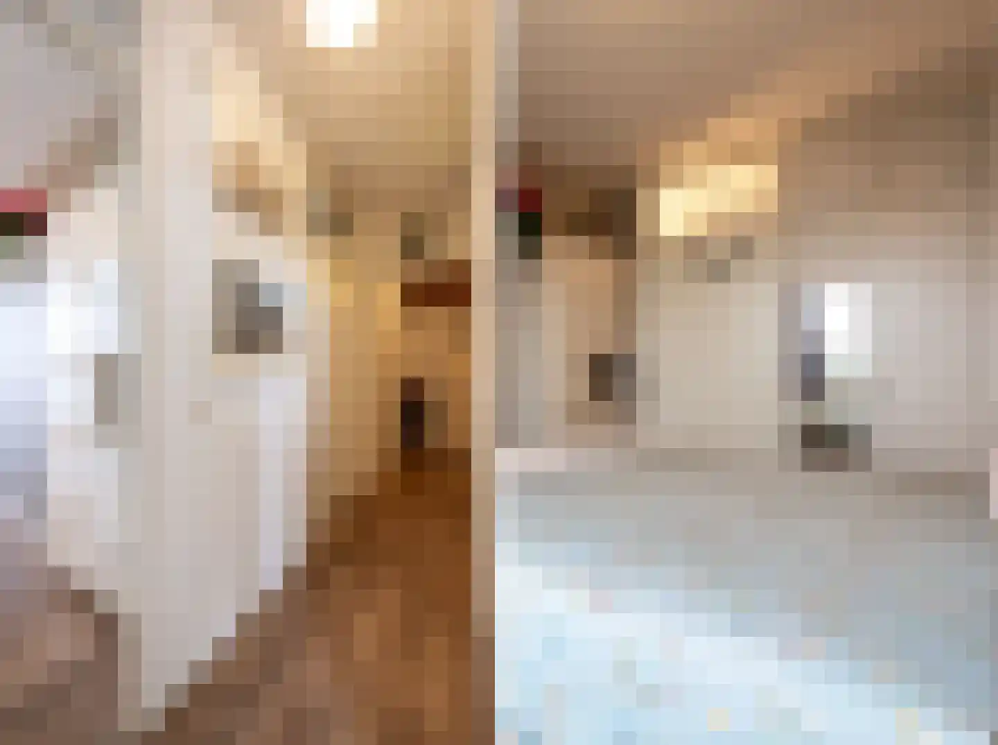 Venuslaan 295 Eindhoven thumbnail 14