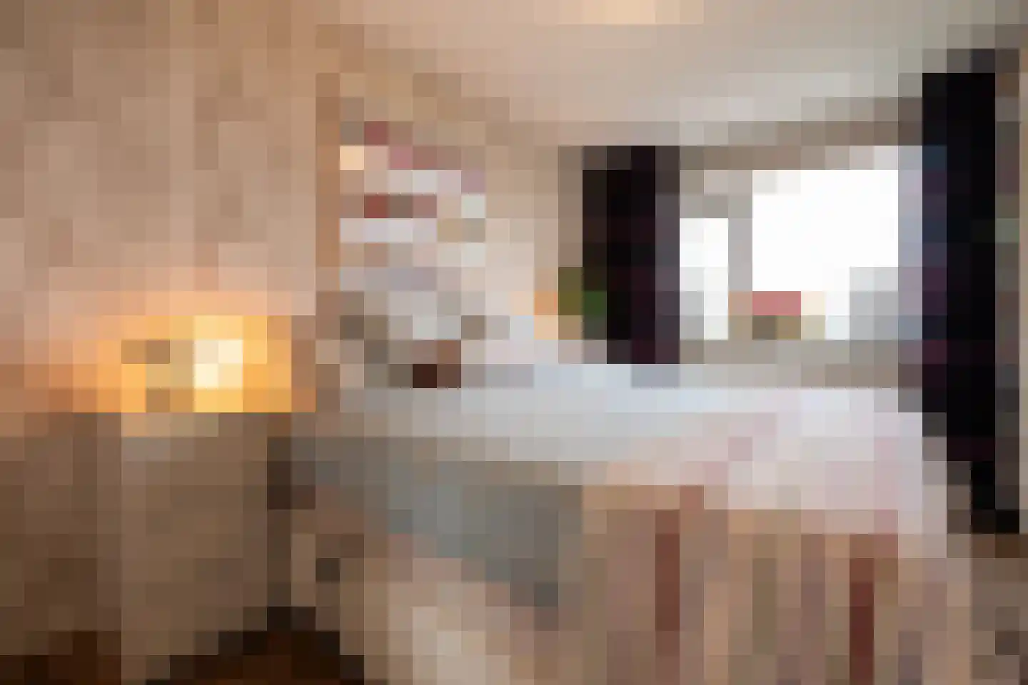 Venuslaan 295 Eindhoven thumbnail 15