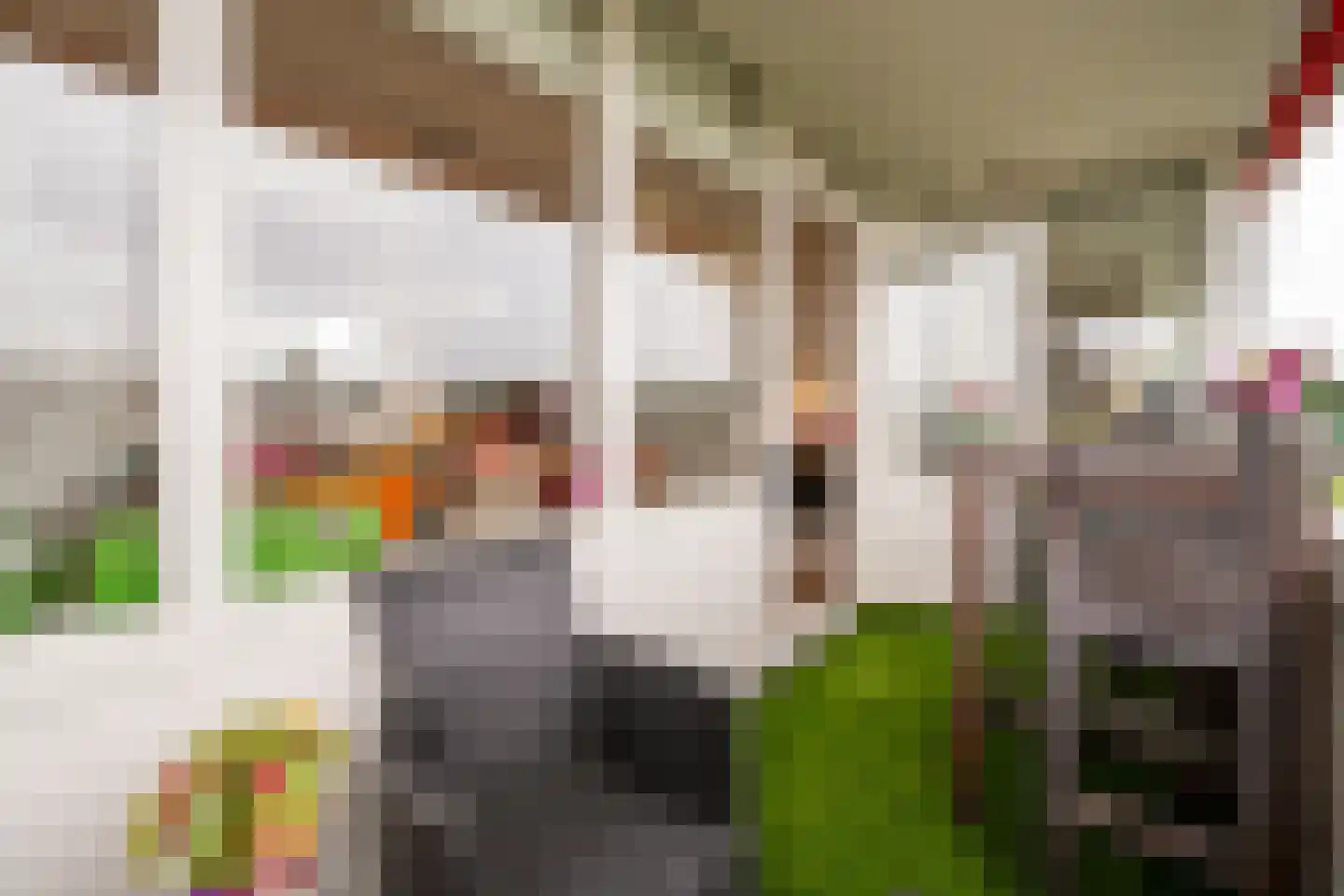 Venuslaan 295 Eindhoven thumbnail 21