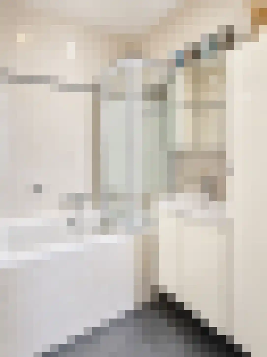 Venuslaan 295 Eindhoven thumbnail 24