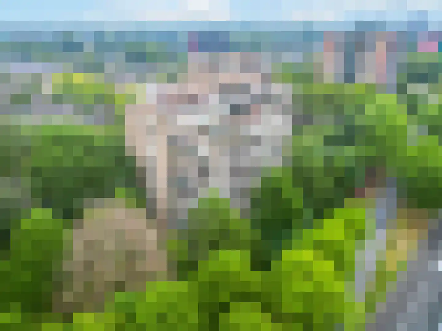 Venuslaan 295 Eindhoven thumbnail 24