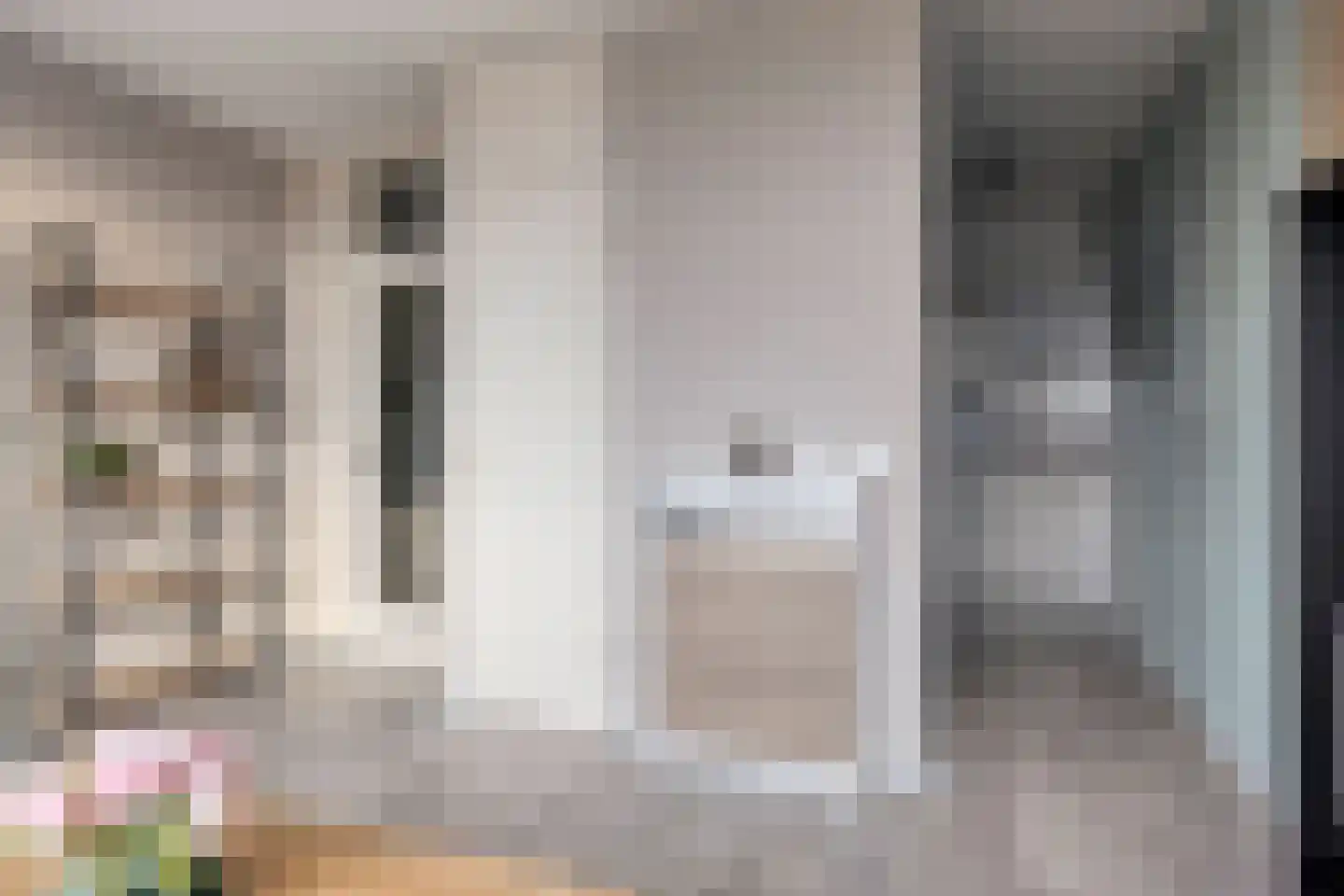 Venuslaan 303 Eindhoven thumbnail 11