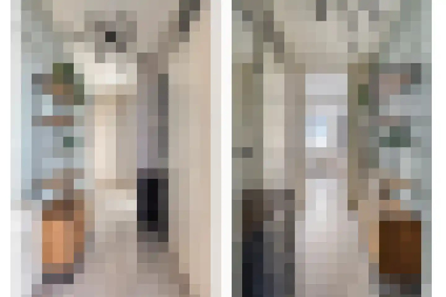Venuslaan 303 Eindhoven thumbnail 12