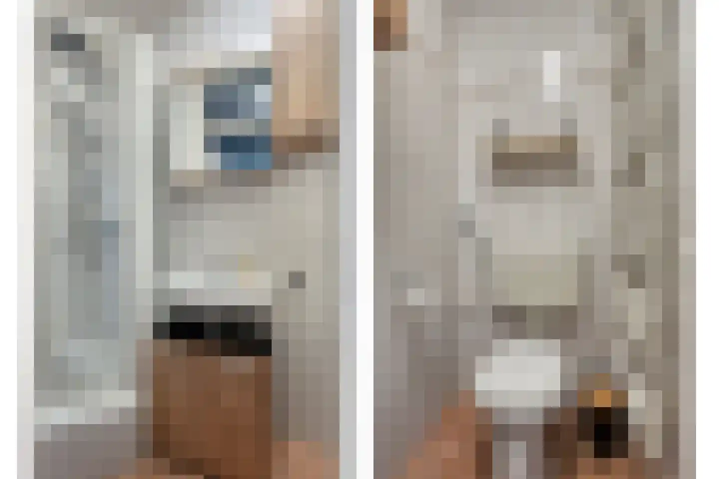 Venuslaan 303 Eindhoven thumbnail 15