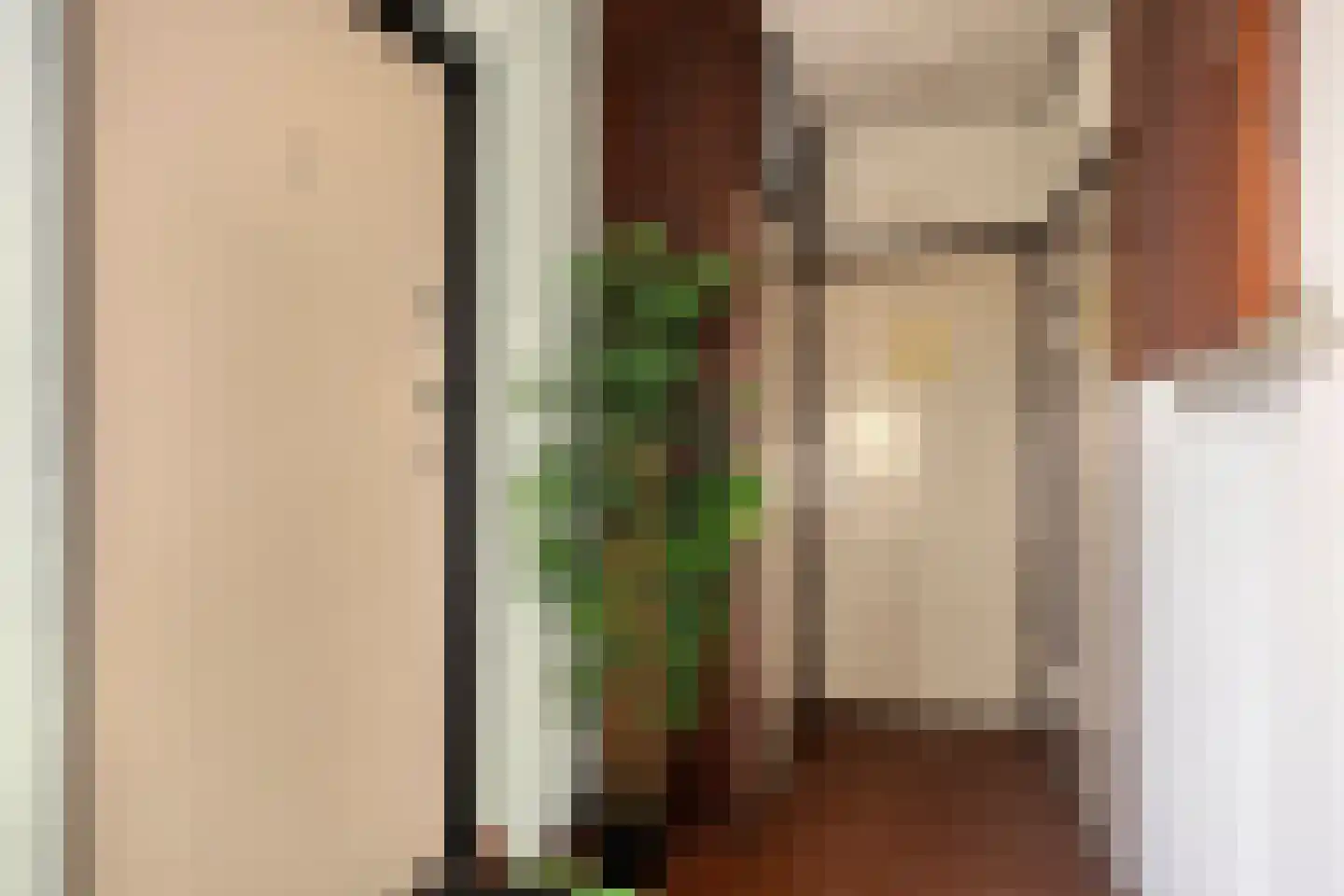 Venuslaan 303 Eindhoven thumbnail 18